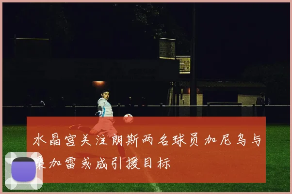 水晶宫关注朗斯两名球员加尼乌与桑加雷或成引援目标